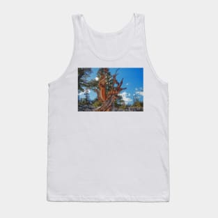 850_6880 Tank Top